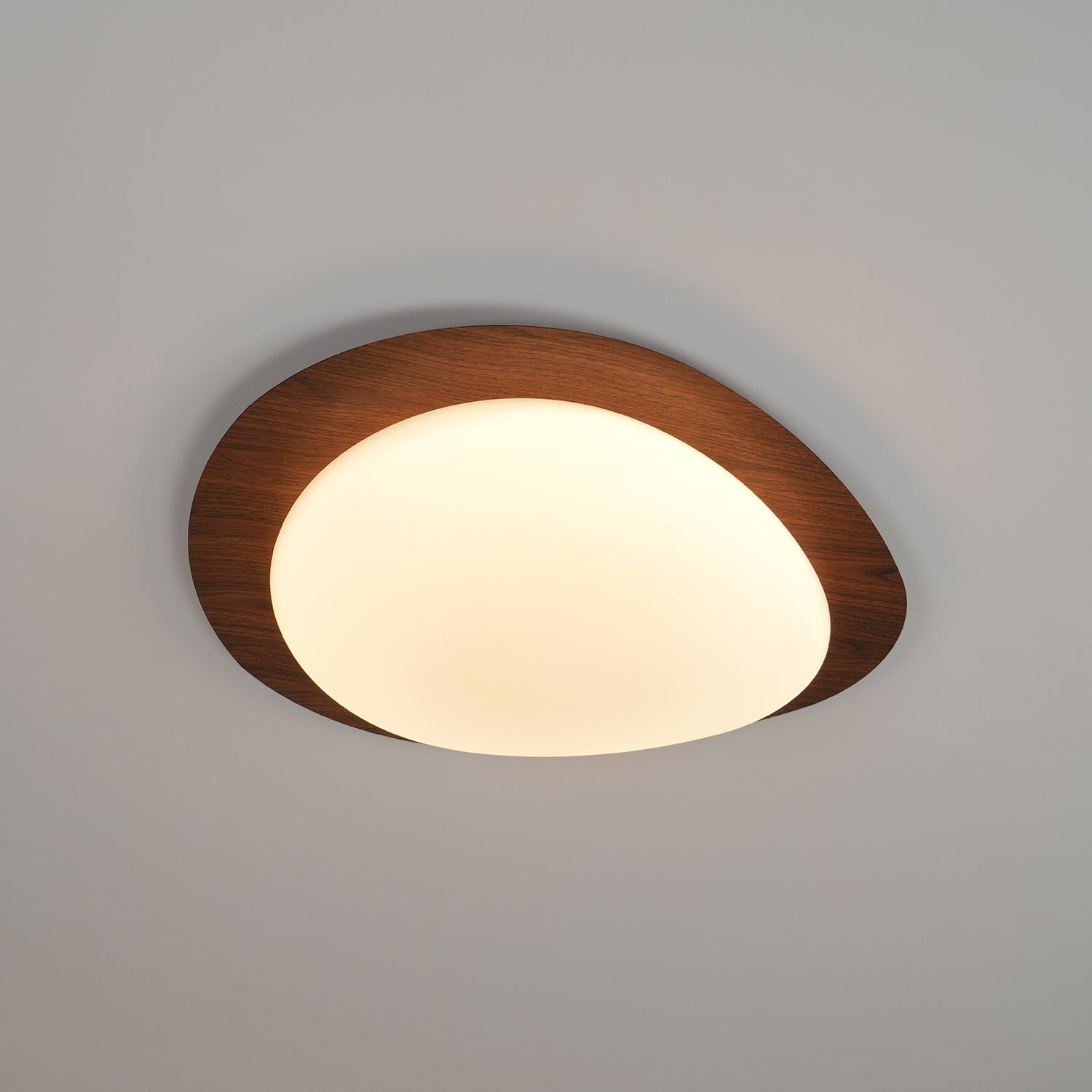 Ceiling Light | Oval Ceiling Fixture