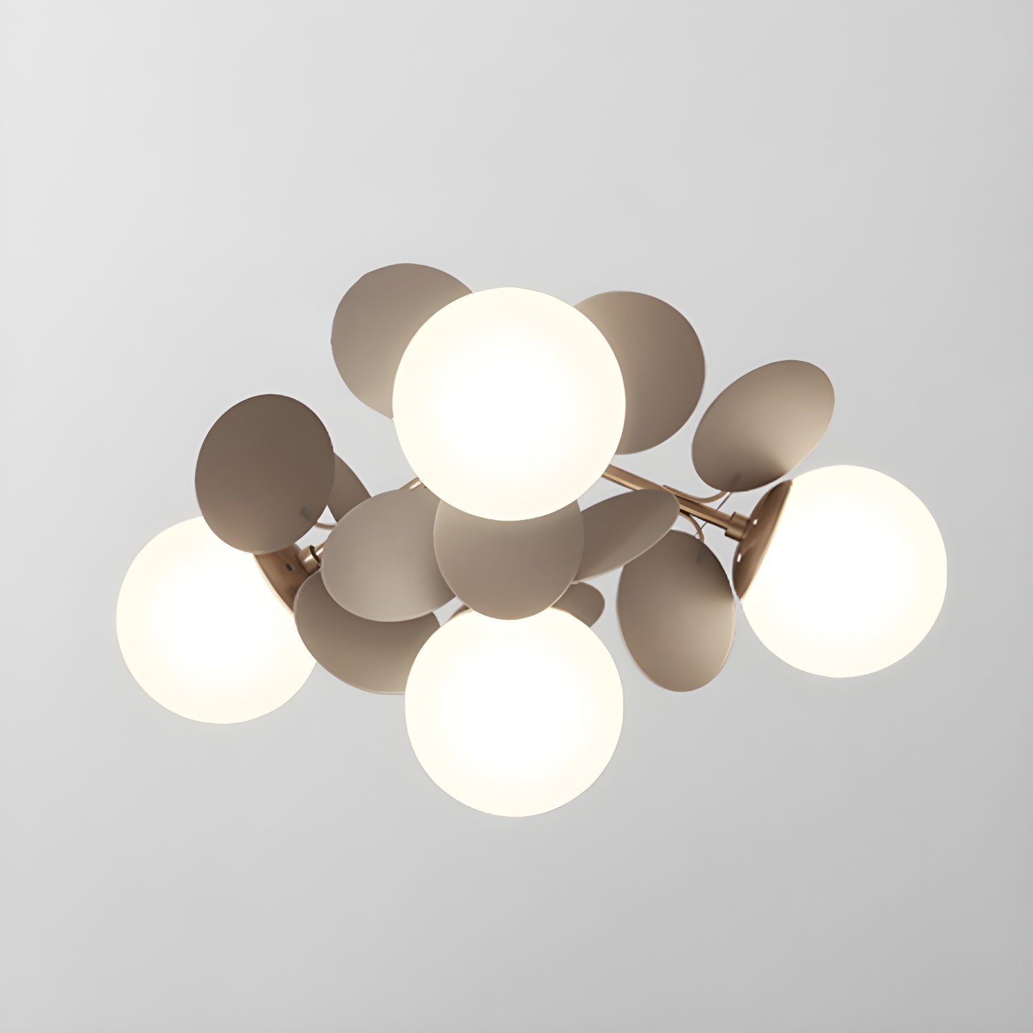 Ceiling Lights | Macaron Multi-Color Round Petal Design