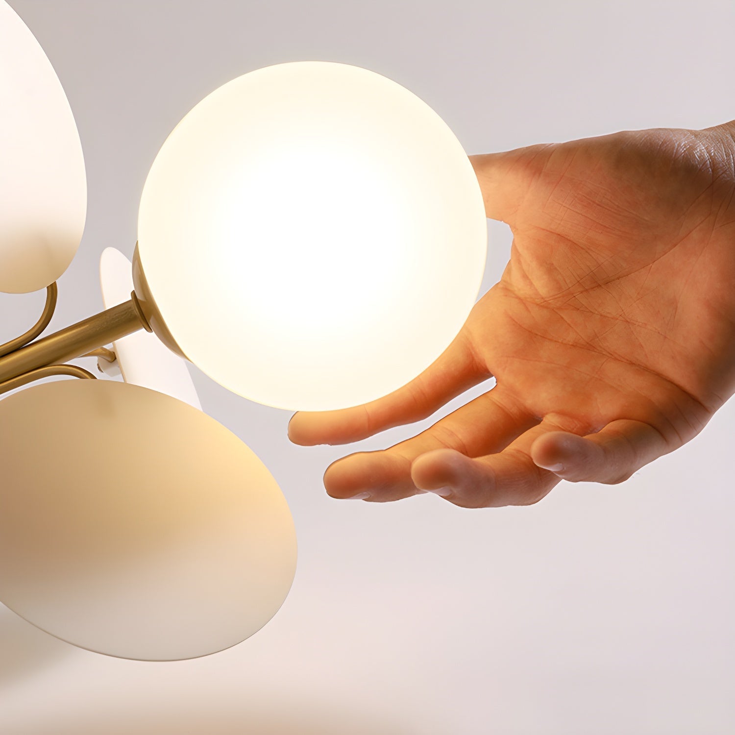 Ceiling Lights | Macaron Multi-Color Round Petal Design