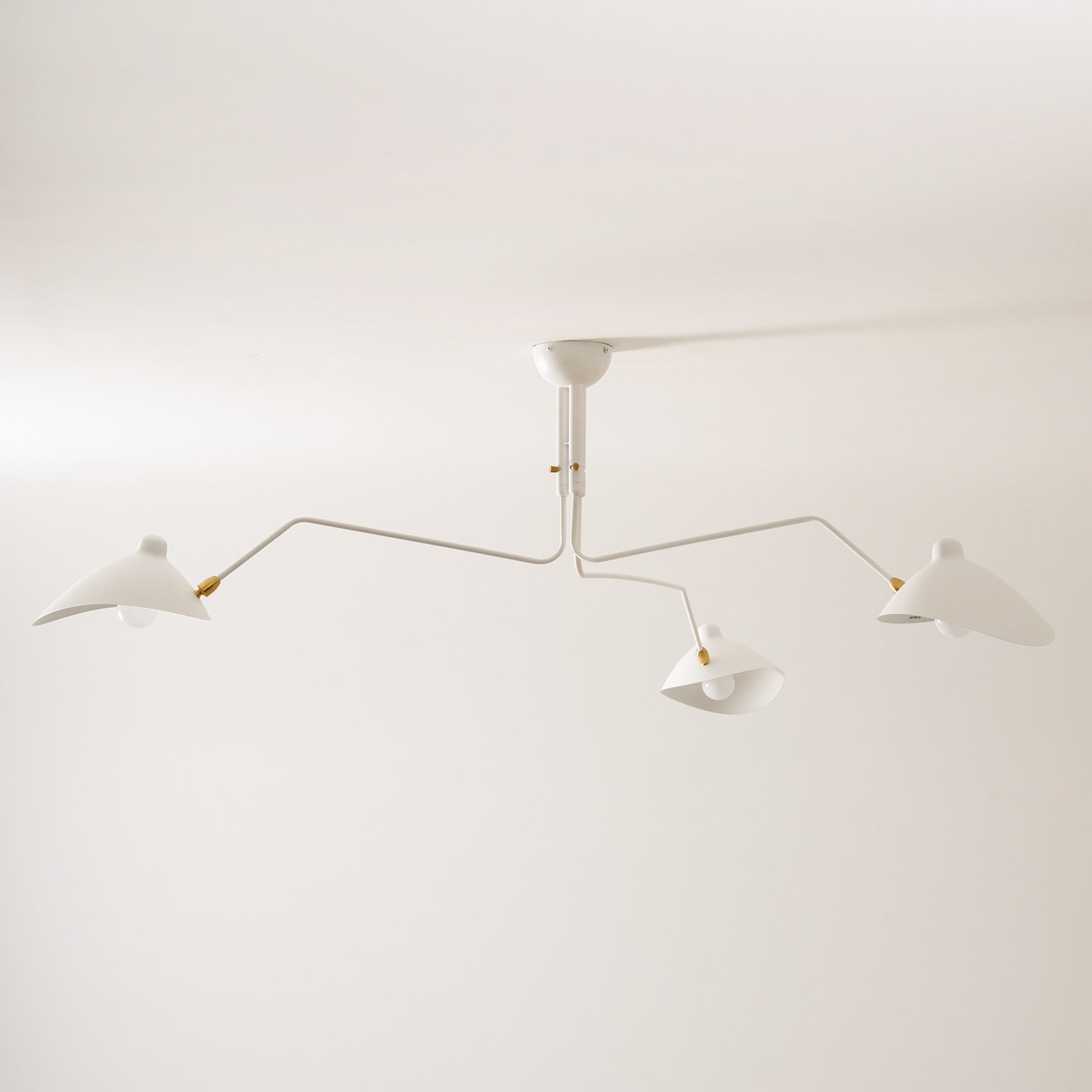 Ceiling Light Multi Arm | Adjustable Fixture with 3 or 6 Heads