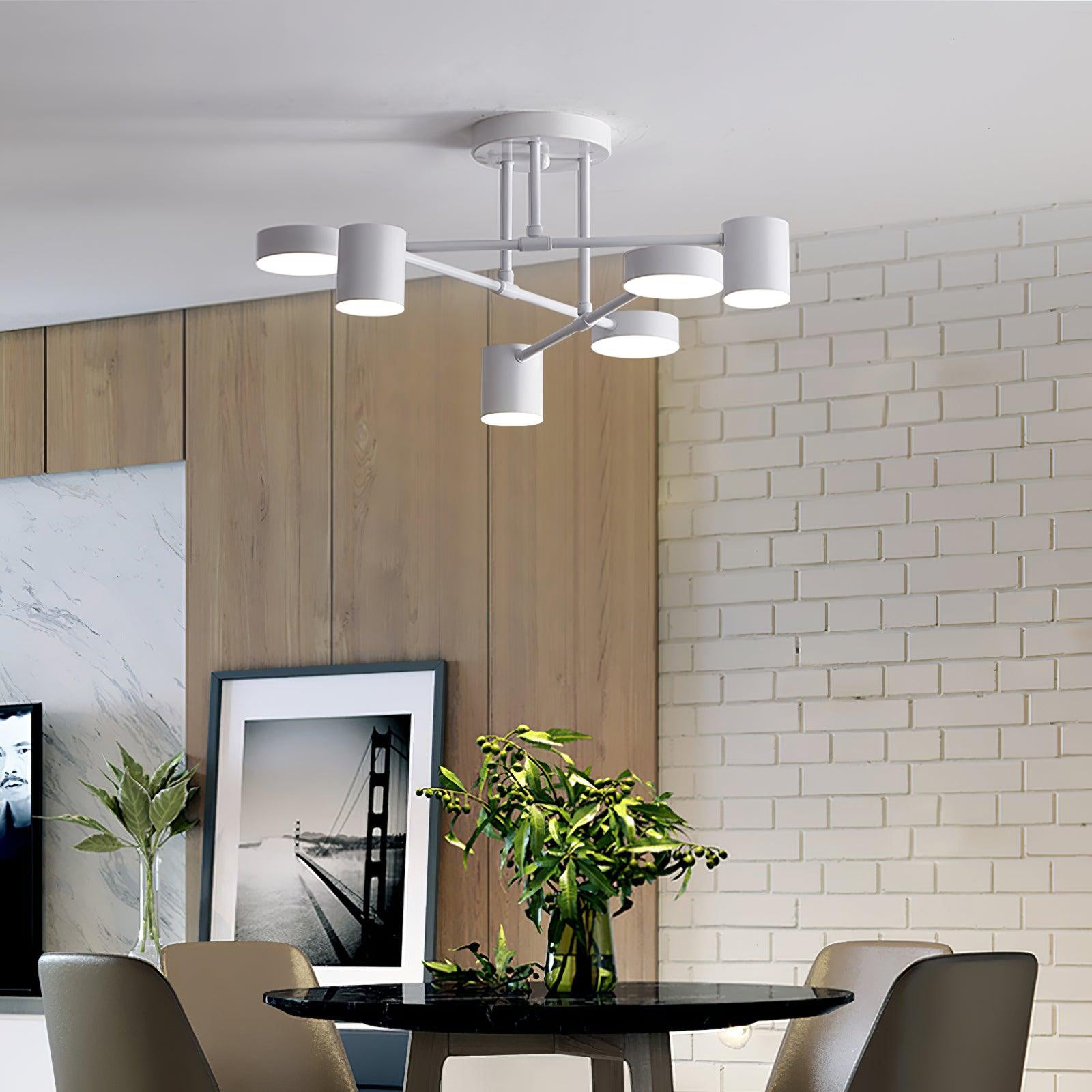 Ceiling Light | Modern Multi-Arm Lamp