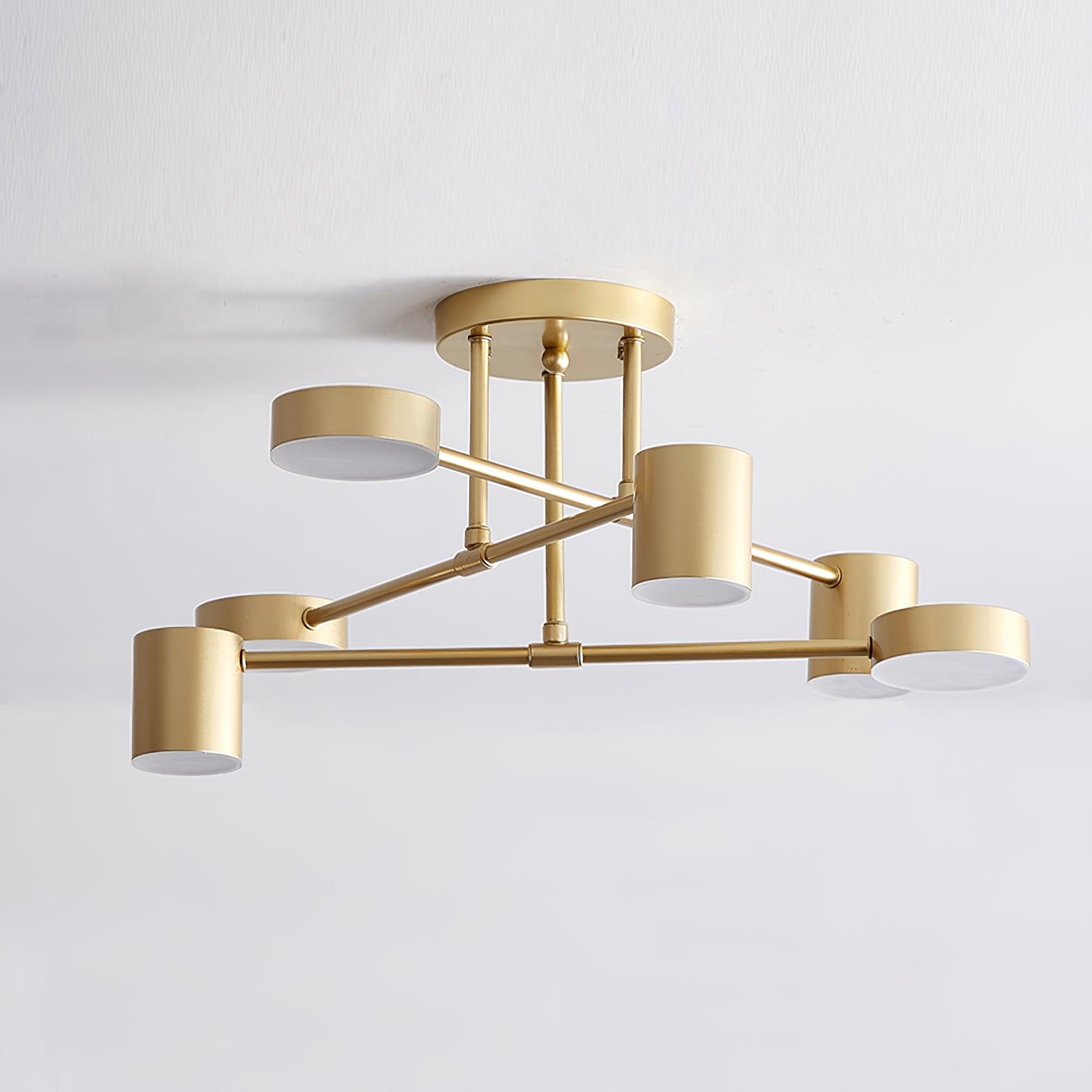Ceiling Light | Modern Multi-Arm Lamp