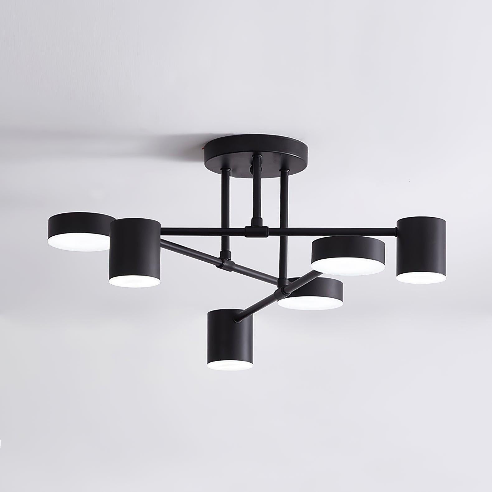Ceiling Light | Modern Multi-Arm Lamp