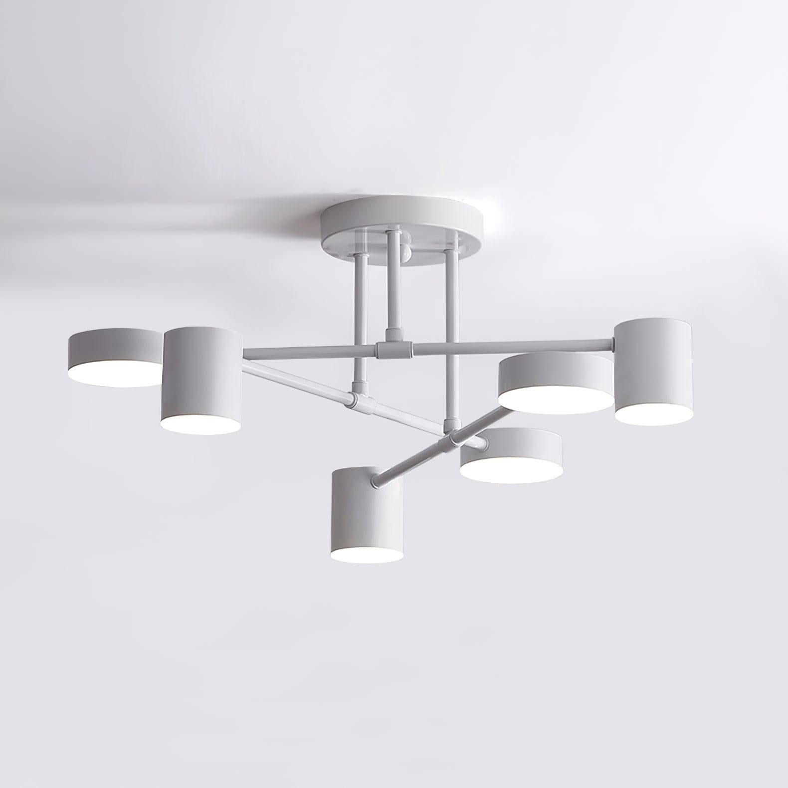 Ceiling Light | Modern Multi-Arm Lamp