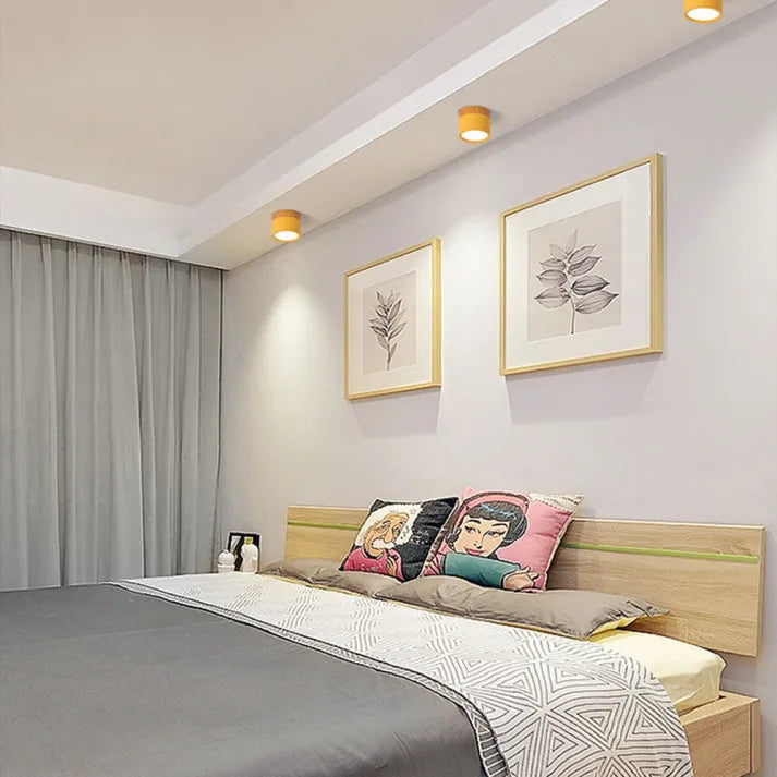 Hallway LED Ceiling Lights | Flush Mount Cylindrical Fixture