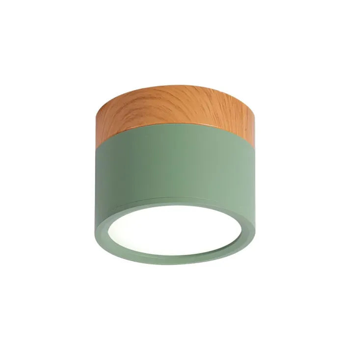 Hallway LED Ceiling Lights | Flush Mount Cylindrical Fixture