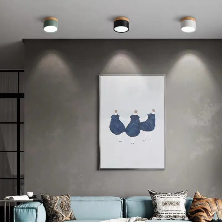 Hallway LED Ceiling Lights | Flush Mount Cylindrical Fixture