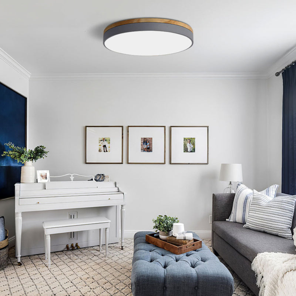 Flush-Mount Ceiling Light | Round Disc Design for Modern Interiors