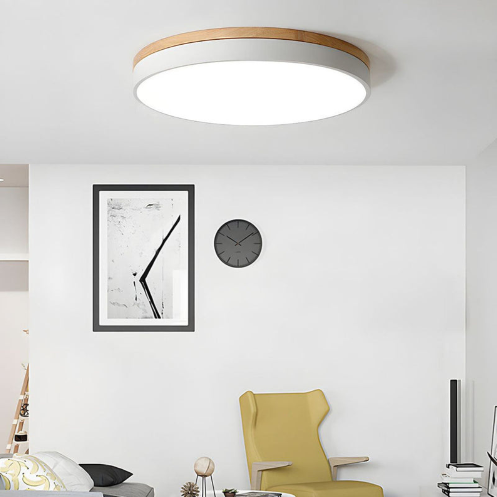 Flush-Mount Ceiling Light | Round Disc Design for Modern Interiors