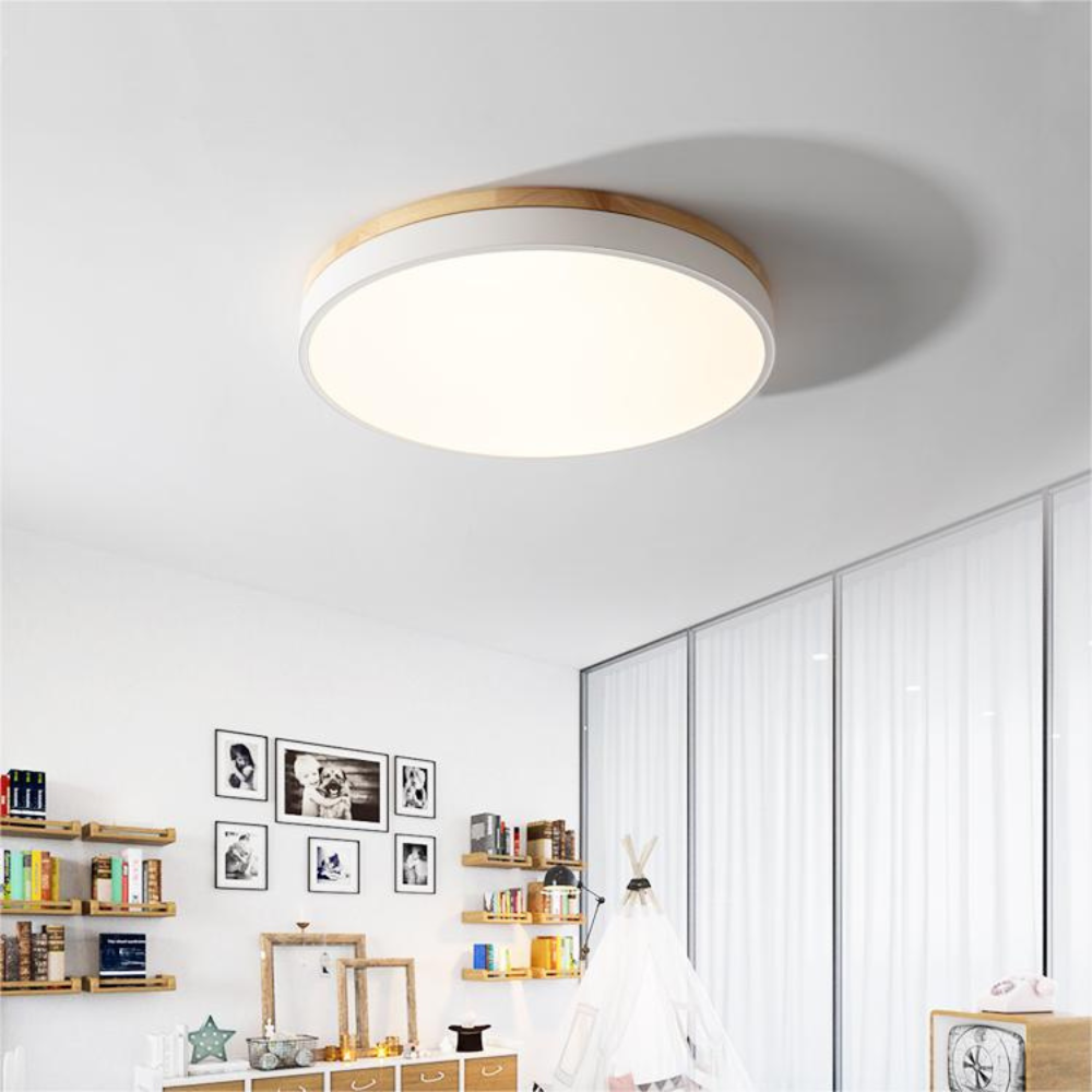 Flush-Mount Ceiling Light | Round Disc Design for Modern Interiors