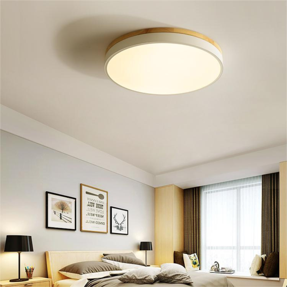 Flush-Mount Ceiling Light | Round Disc Design for Modern Interiors