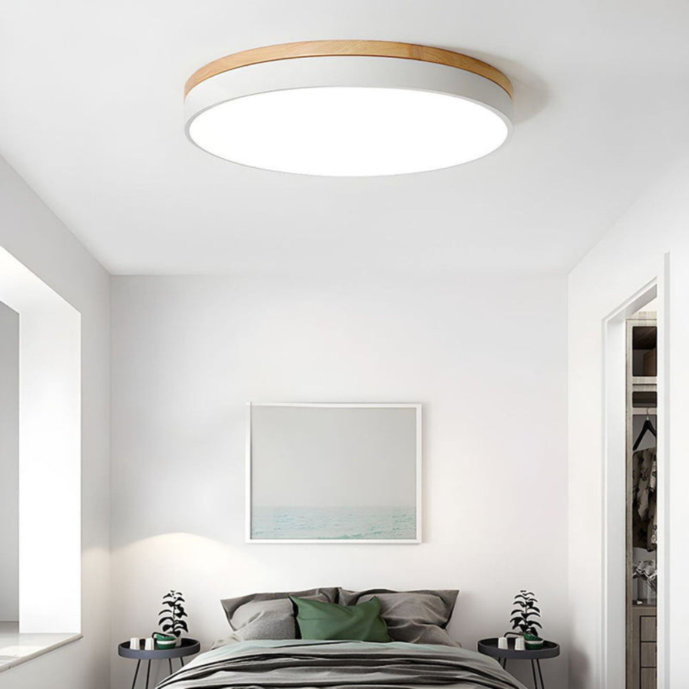 Flush-Mount Ceiling Light | Round Disc Design for Modern Interiors