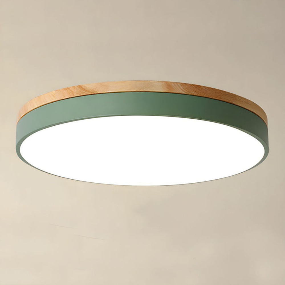 Flush-Mount Ceiling Light | Round Disc Design for Modern Interiors
