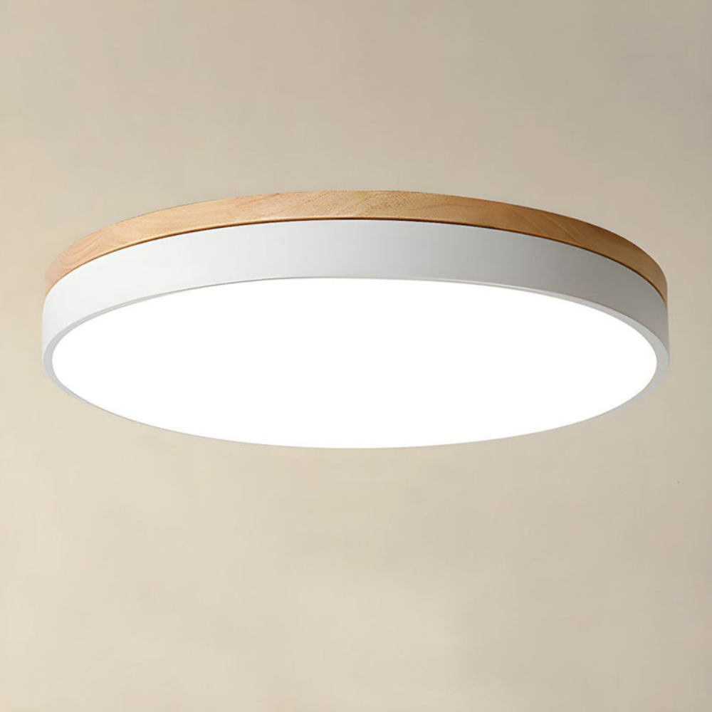 Flush-Mount Ceiling Light | Round Disc Design for Modern Interiors