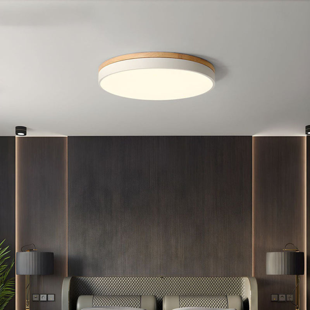 Flush-Mount Ceiling Light | Round Disc Design for Modern Interiors