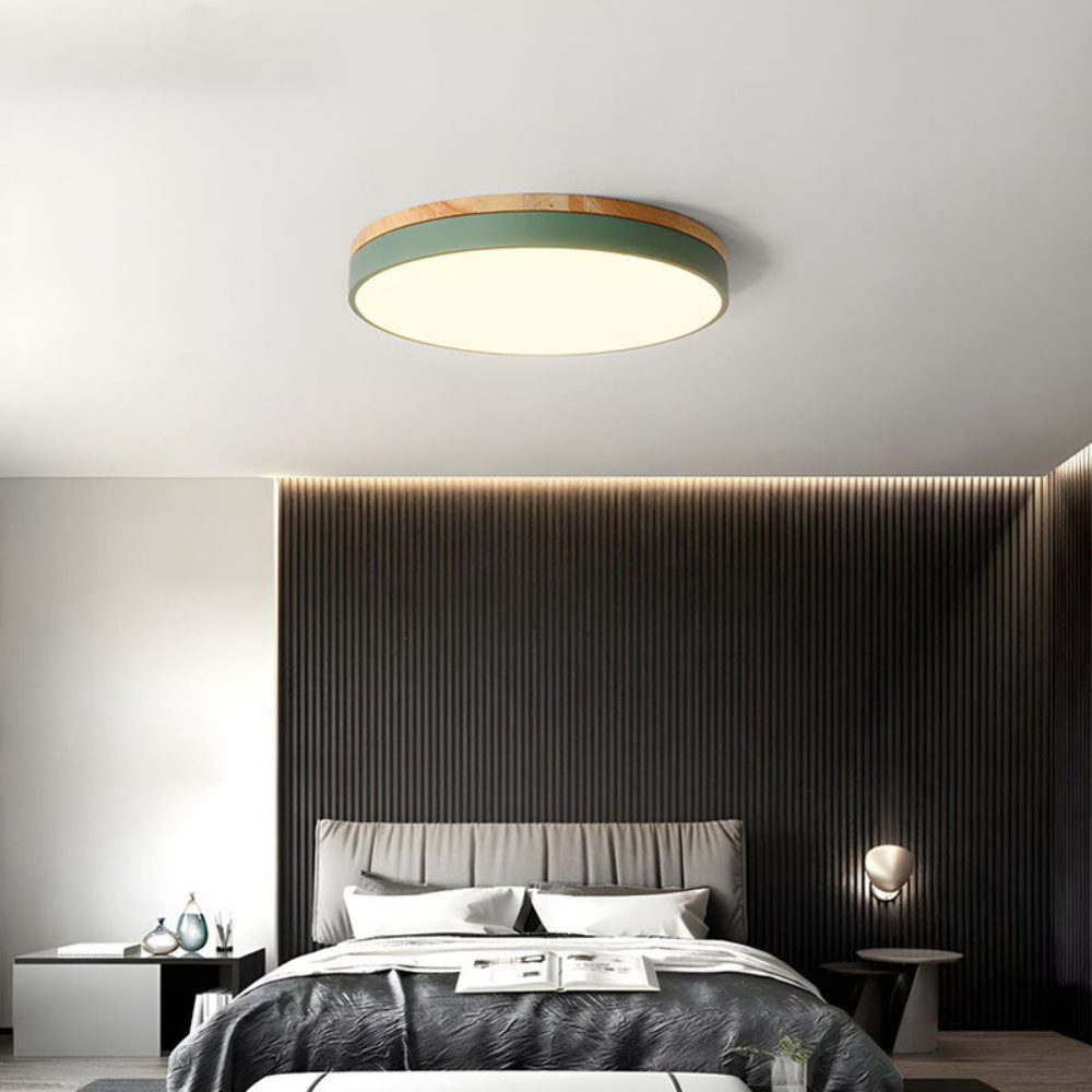 Flush-Mount Ceiling Light | Round Disc Design for Modern Interiors