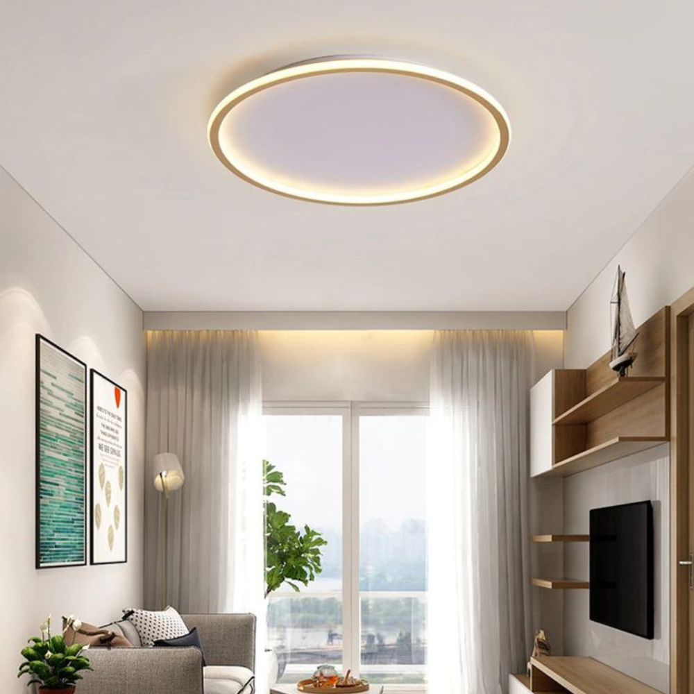 Living Room Modern Flush Mount Ceiling Light | LED Fixture