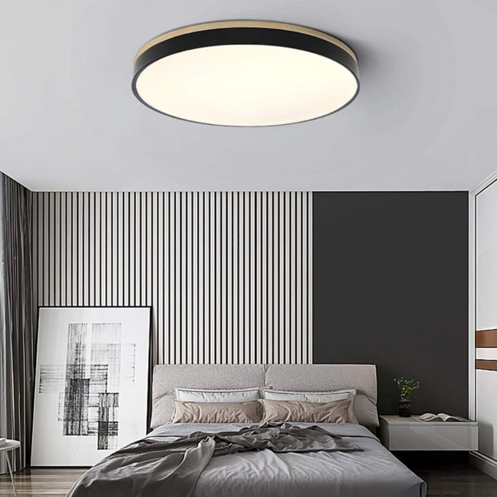 Flush-Mount Ceiling Light | Round Disc Design for Modern Interiors
