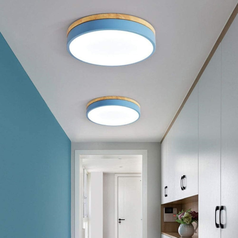 Flush-Mount Ceiling Light | Round Disc Design for Modern Interiors