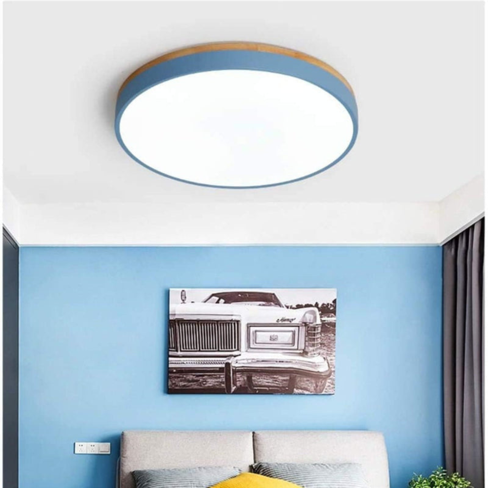 Flush-Mount Ceiling Light | Round Disc Design for Modern Interiors