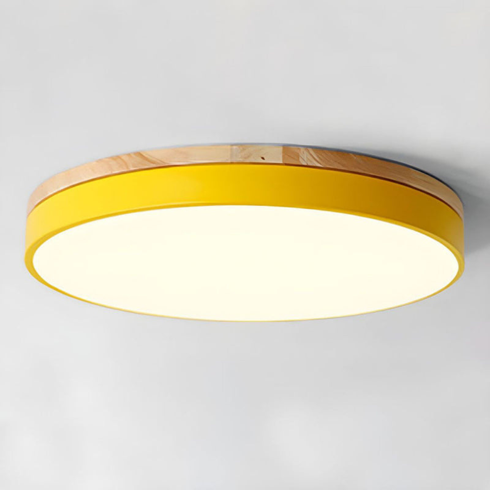 Flush-Mount Ceiling Light | Round Disc Design for Modern Interiors