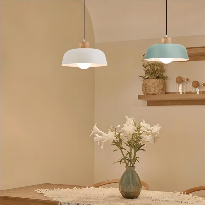 Pendant Light | Modern Dome Design
