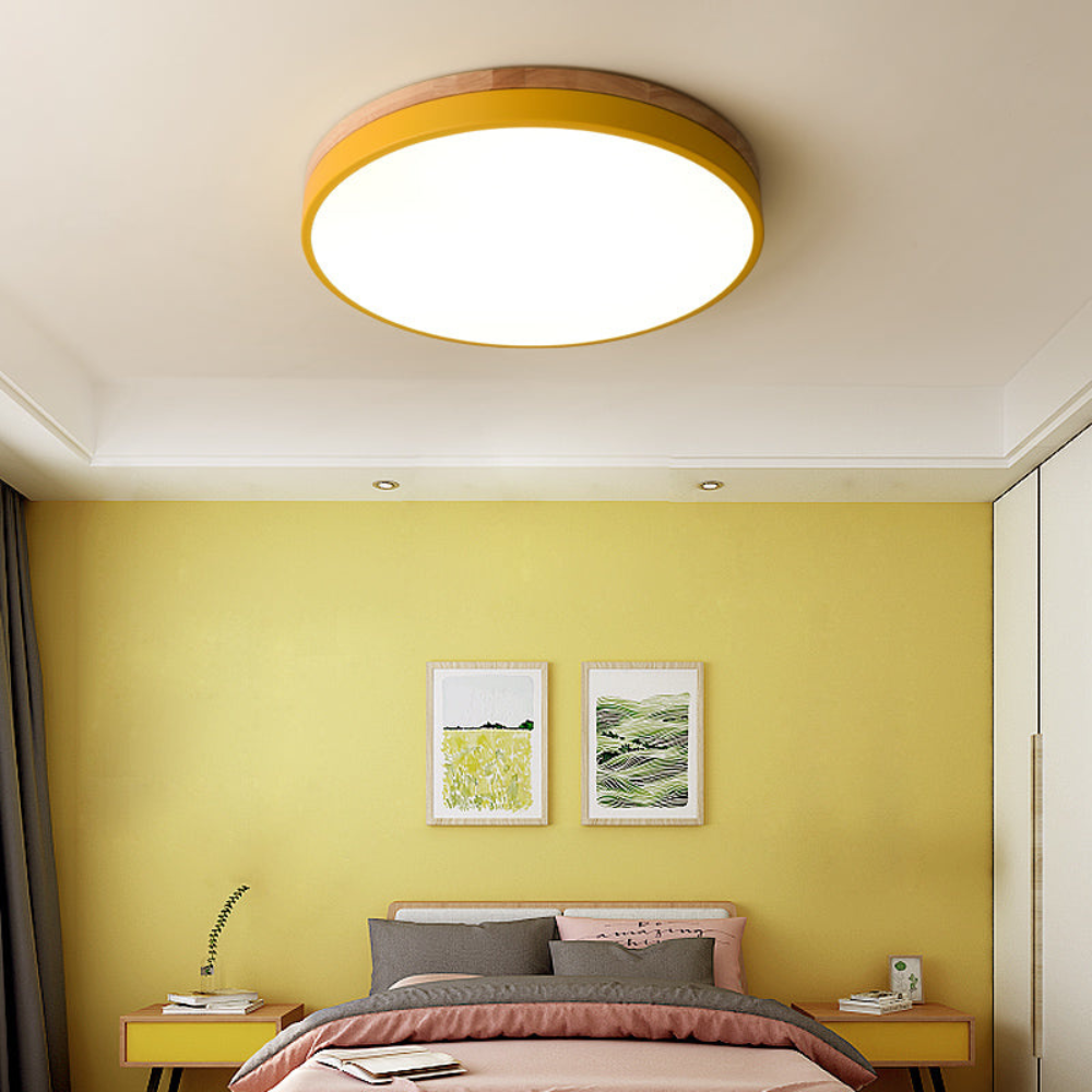Flush-Mount Ceiling Light | Round Disc Design for Modern Interiors