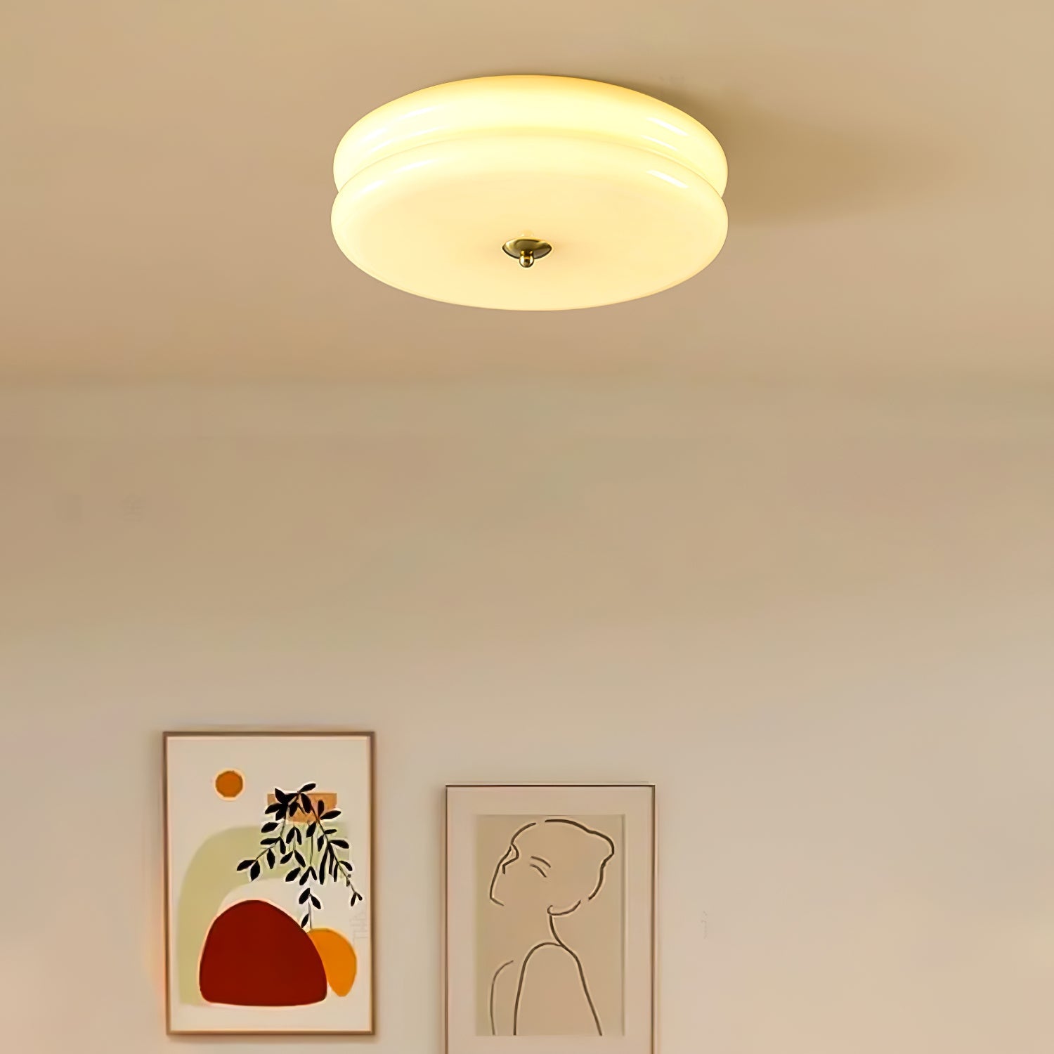 Ceiling Light | Modern Ceiling Lamp