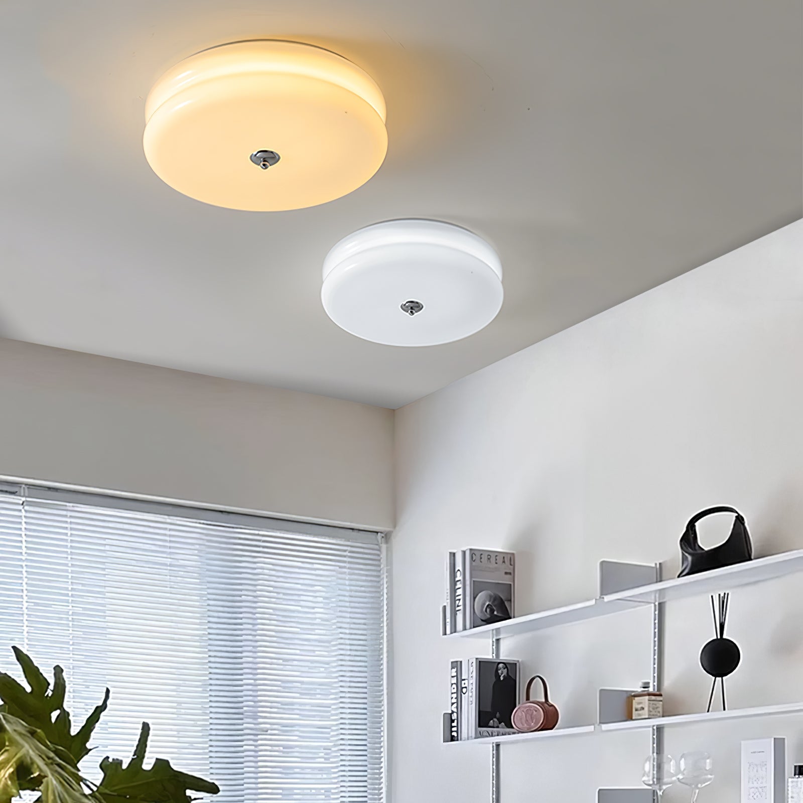 Ceiling Light | Modern Ceiling Lamp