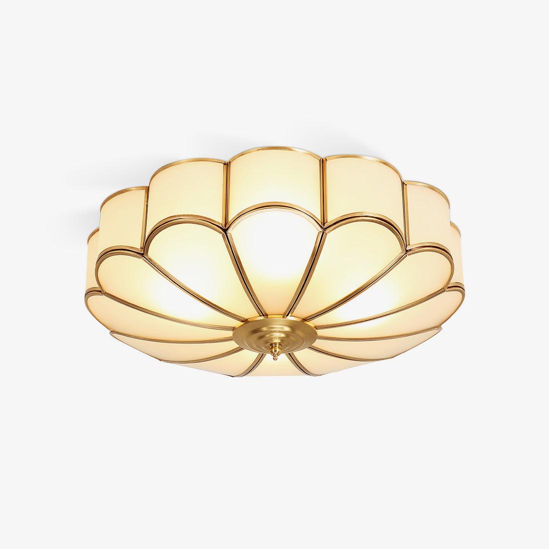 Ceiling Light | Ceiling Mounted Lamp