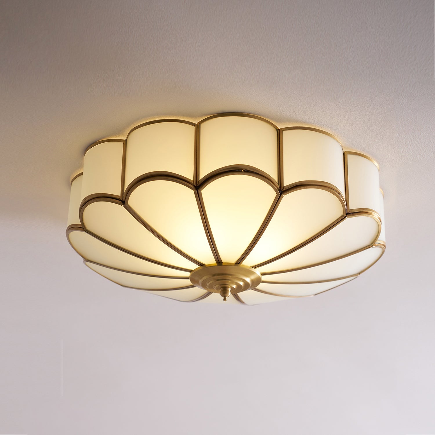 Ceiling Light | Ceiling Mounted Lamp