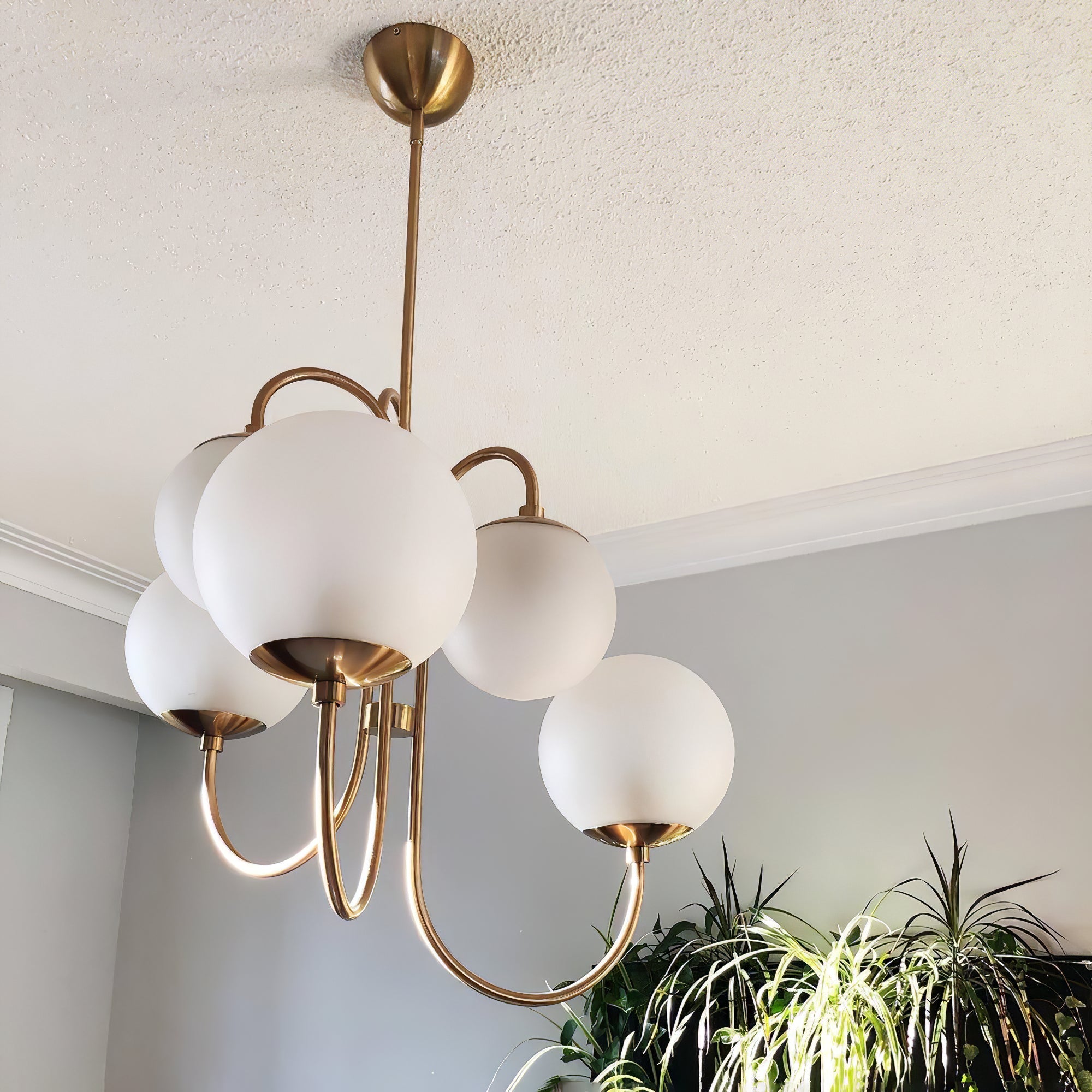 Chandelier Light Fixture | Ceiling Lamp with Gooseneck Design