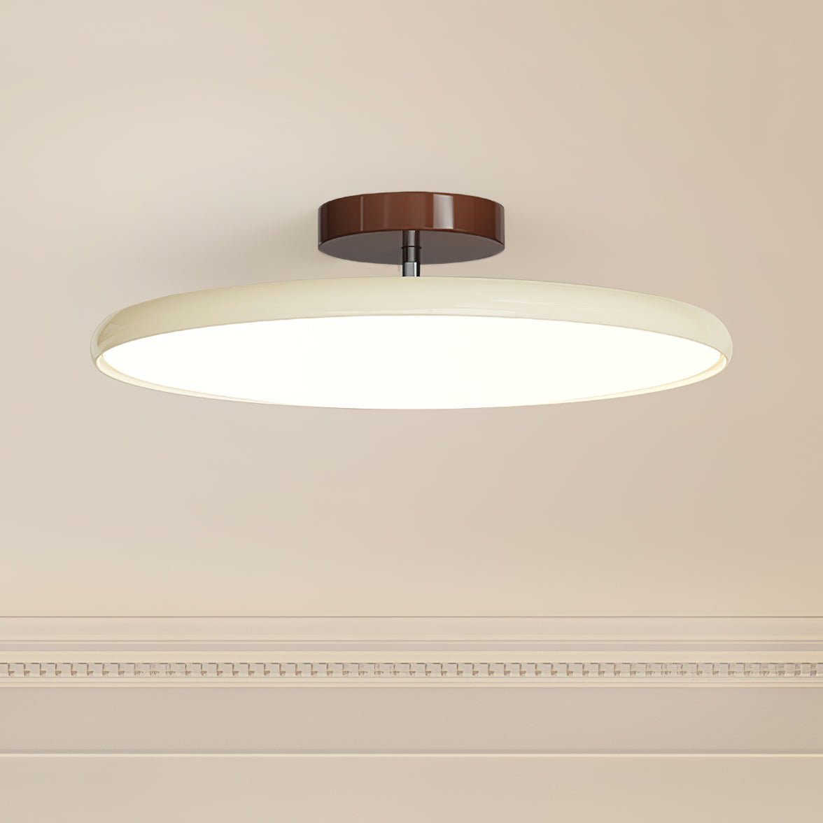 Ceiling Light Slim Profile | Integrated LED Fixture