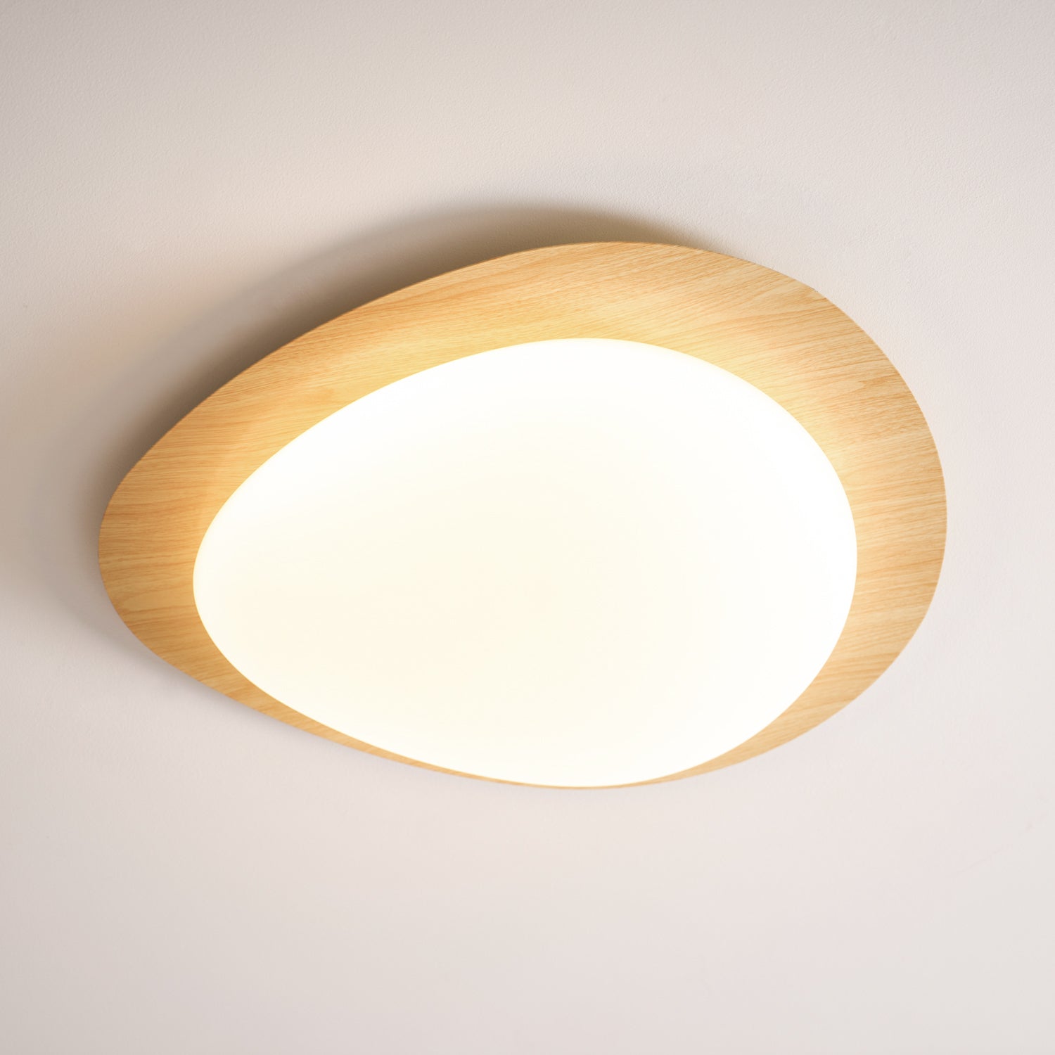 Ceiling Light | Oval Ceiling Fixture