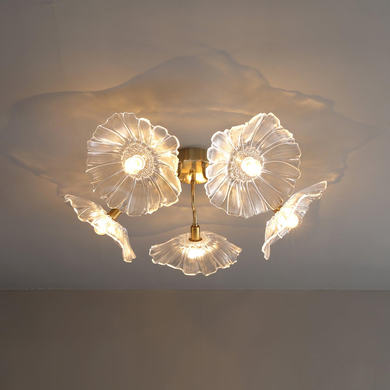 Ceiling Light | Decorative Ceiling Fixture