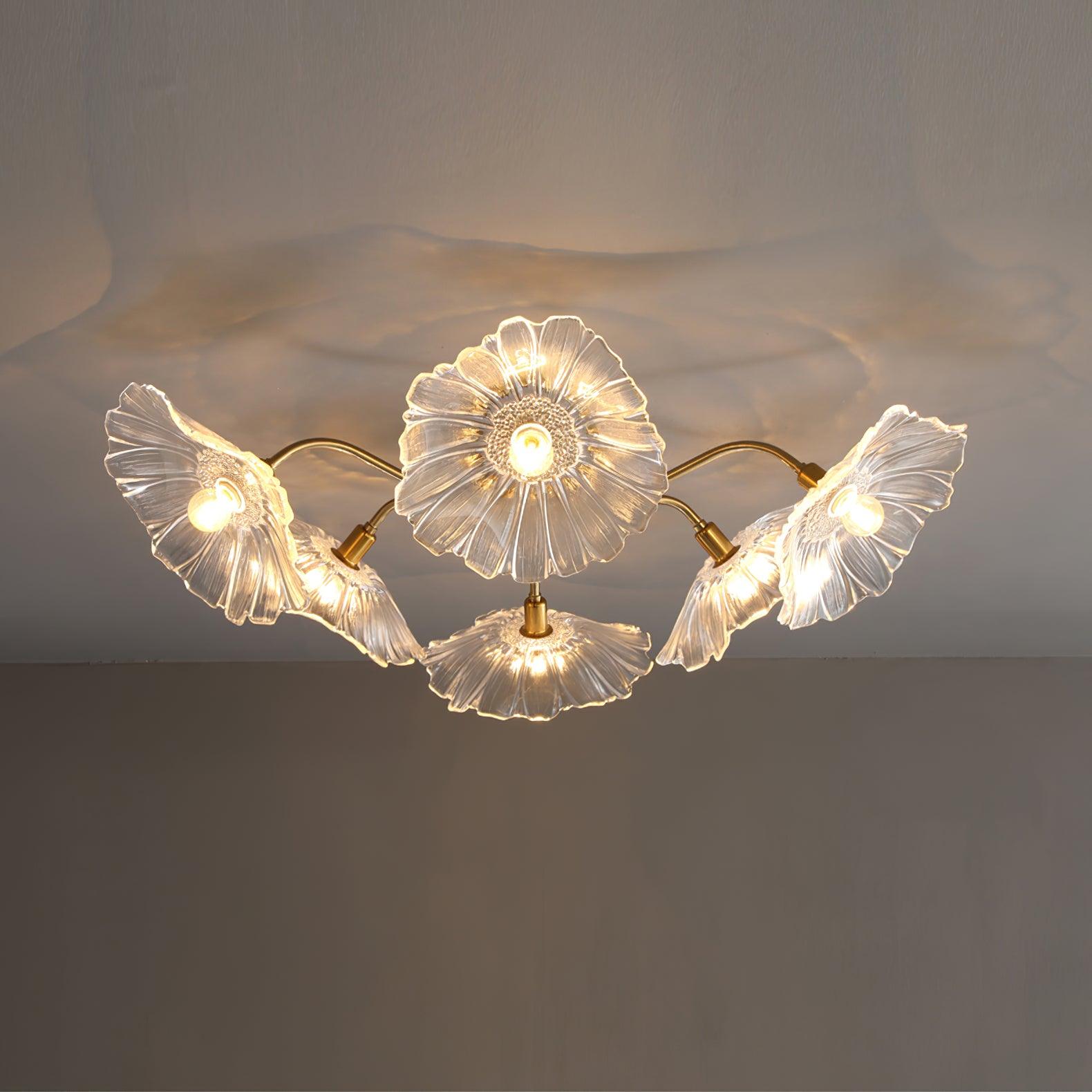 Ceiling Light | Decorative Ceiling Fixture
