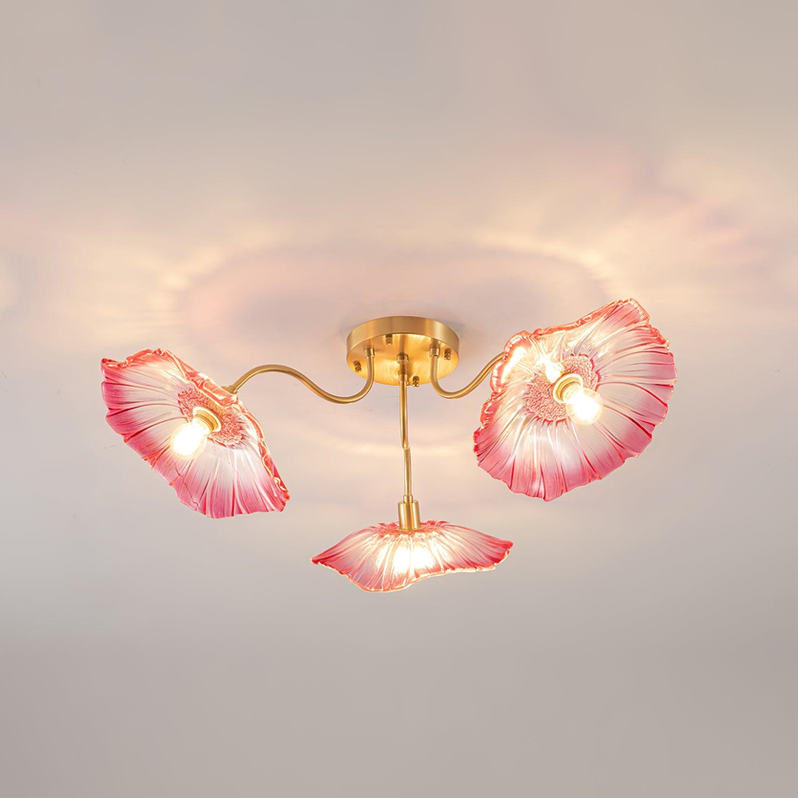 Ceiling Light | Decorative Ceiling Fixture