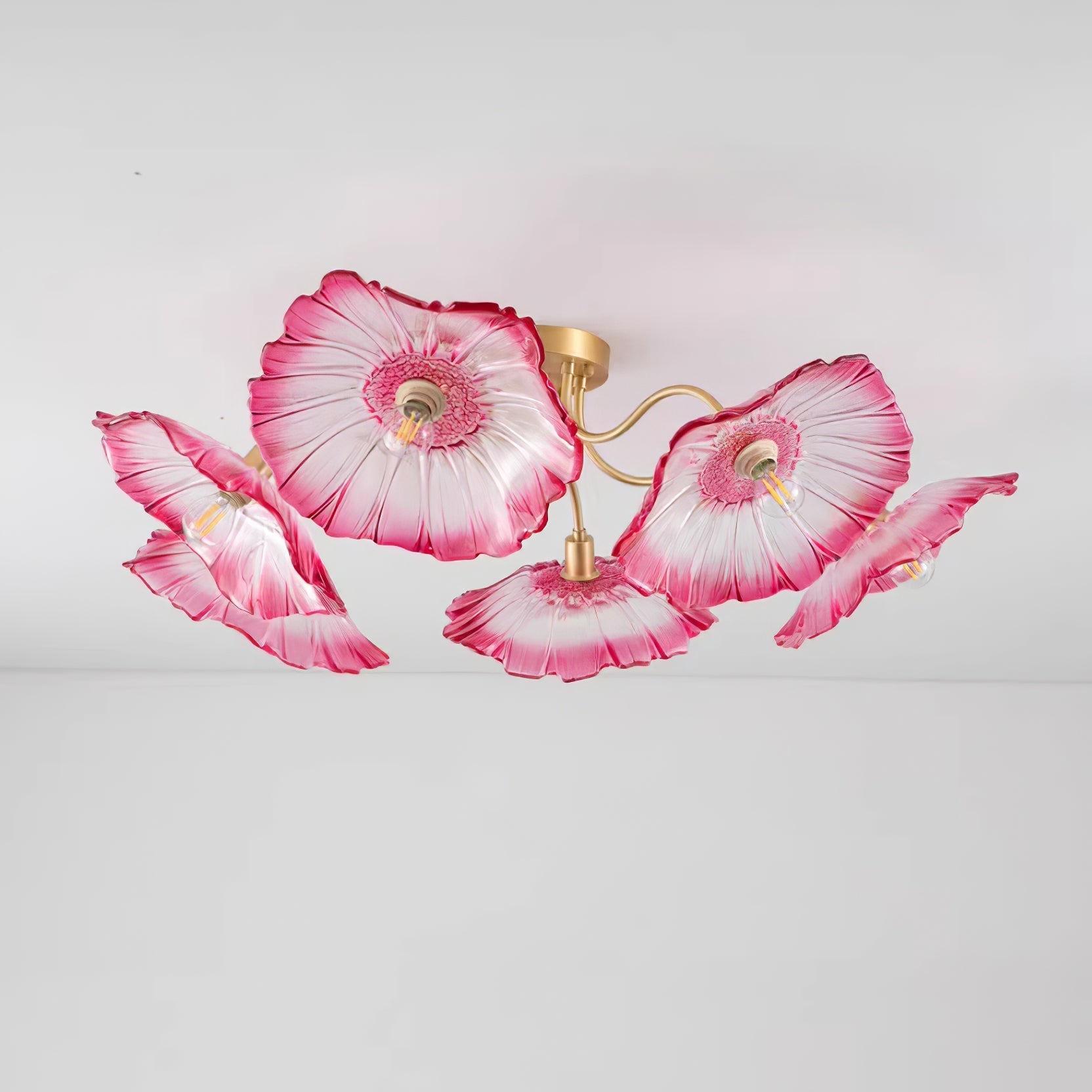Ceiling Light | Decorative Ceiling Fixture