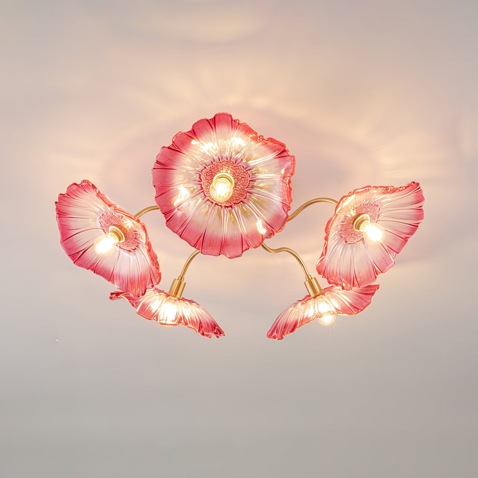 Ceiling Light | Decorative Ceiling Fixture