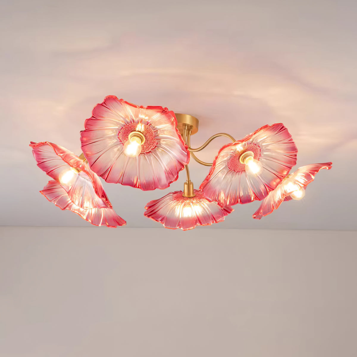 Ceiling Light | Decorative Ceiling Fixture