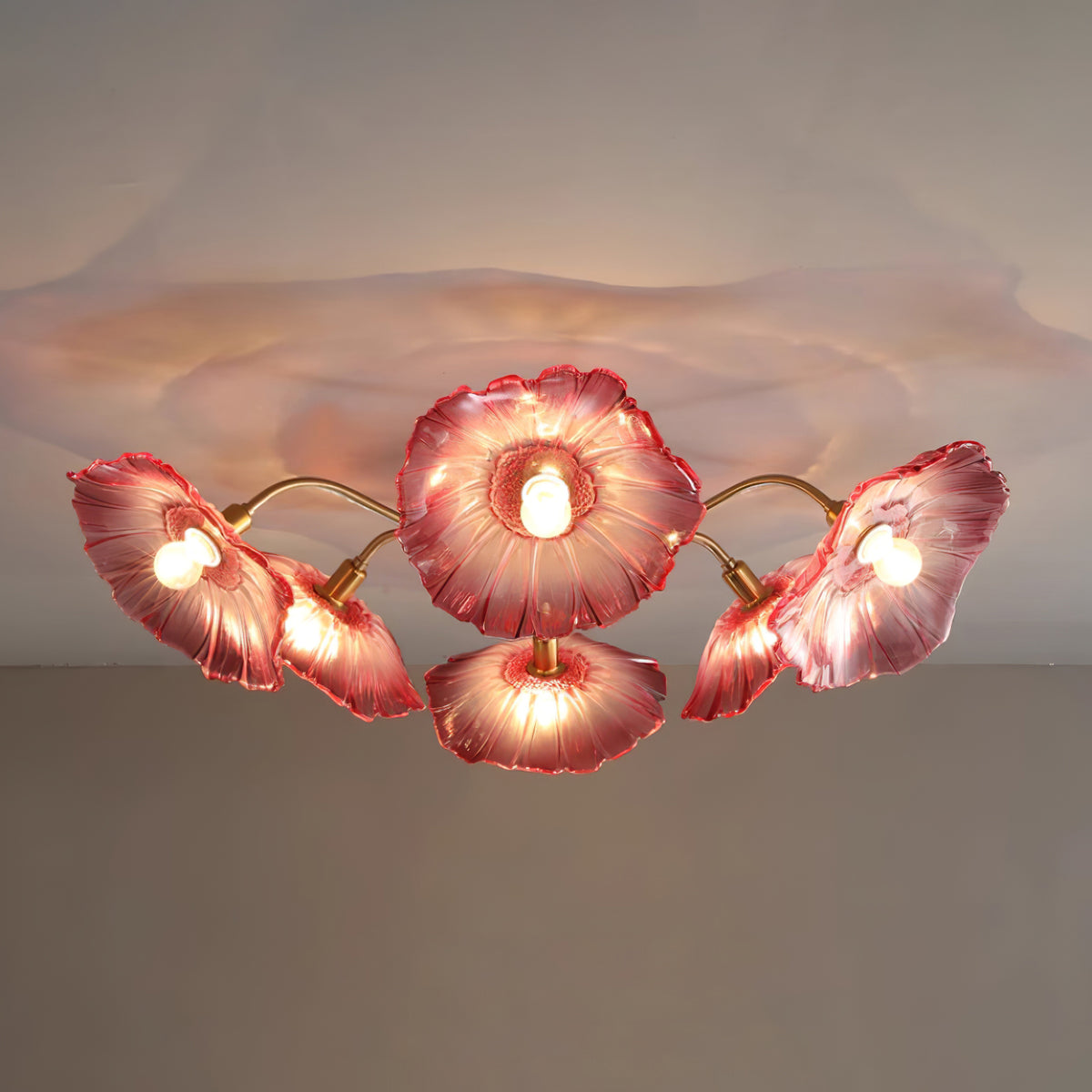 Ceiling Light | Decorative Ceiling Fixture