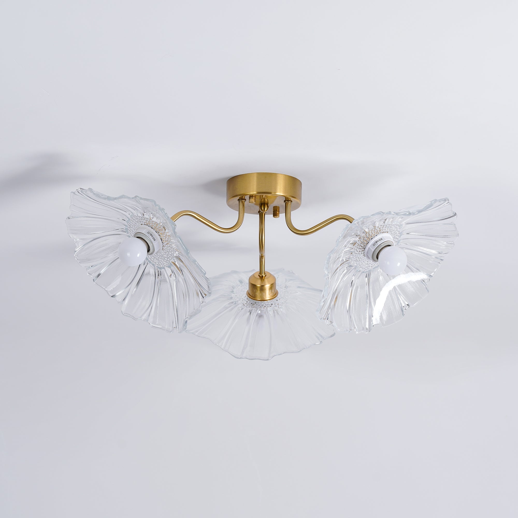 Ceiling Light | Decorative Ceiling Fixture