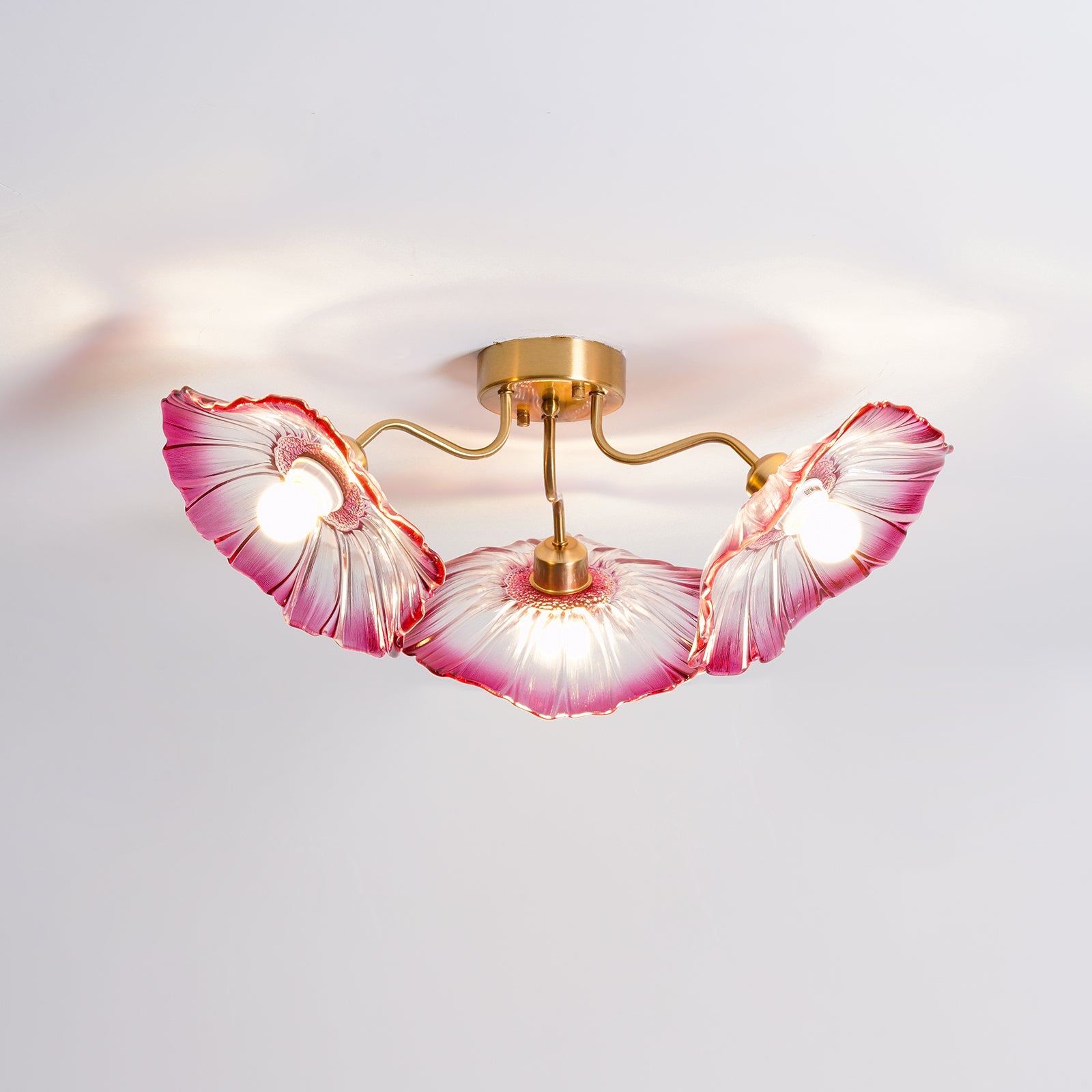 Ceiling Light | Decorative Ceiling Fixture