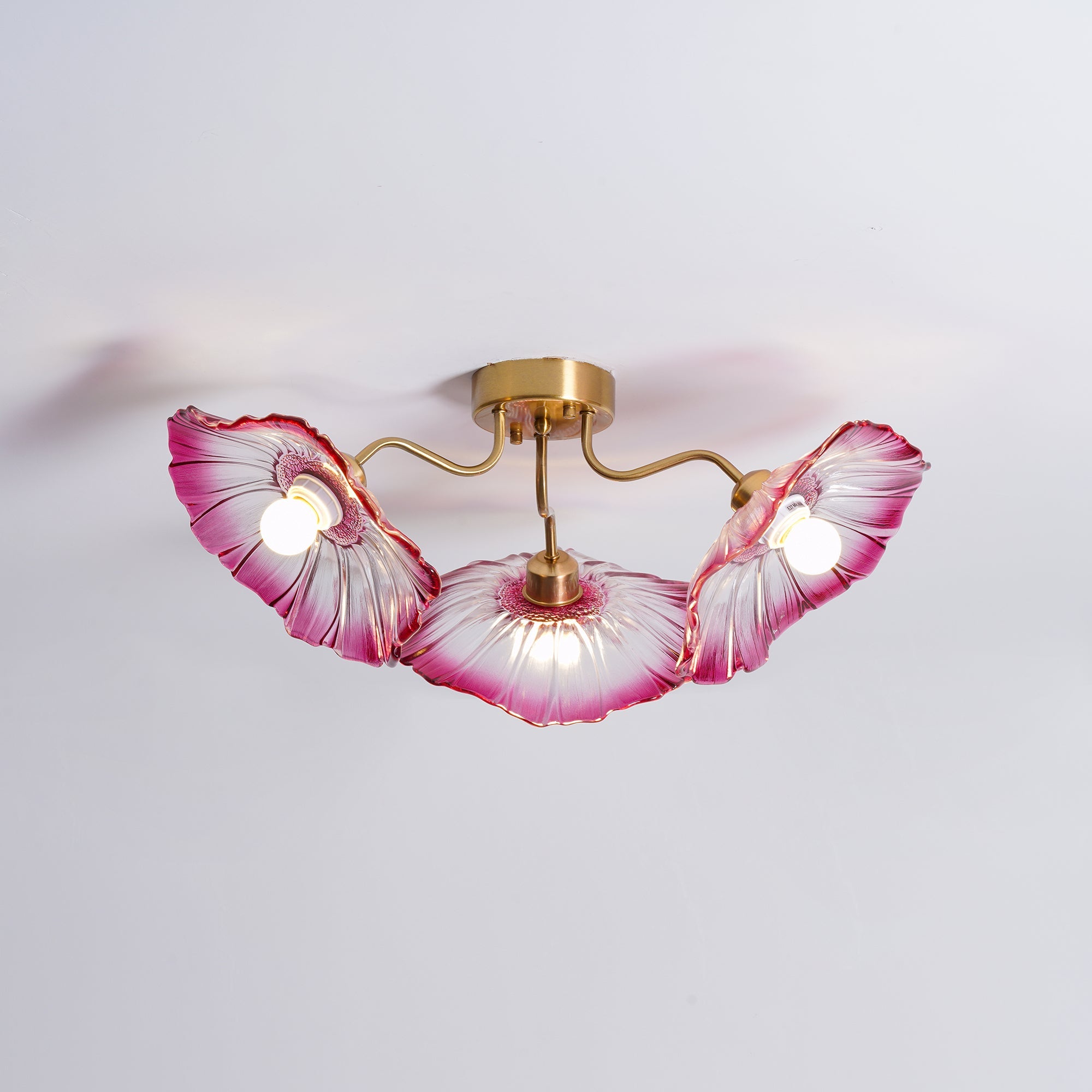 Ceiling Light | Decorative Ceiling Fixture