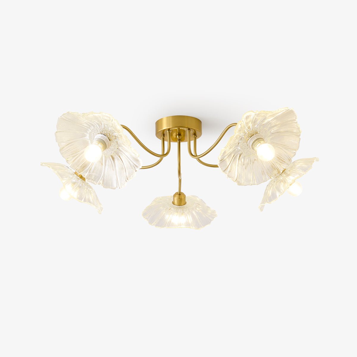 Ceiling Light | Decorative Ceiling Fixture
