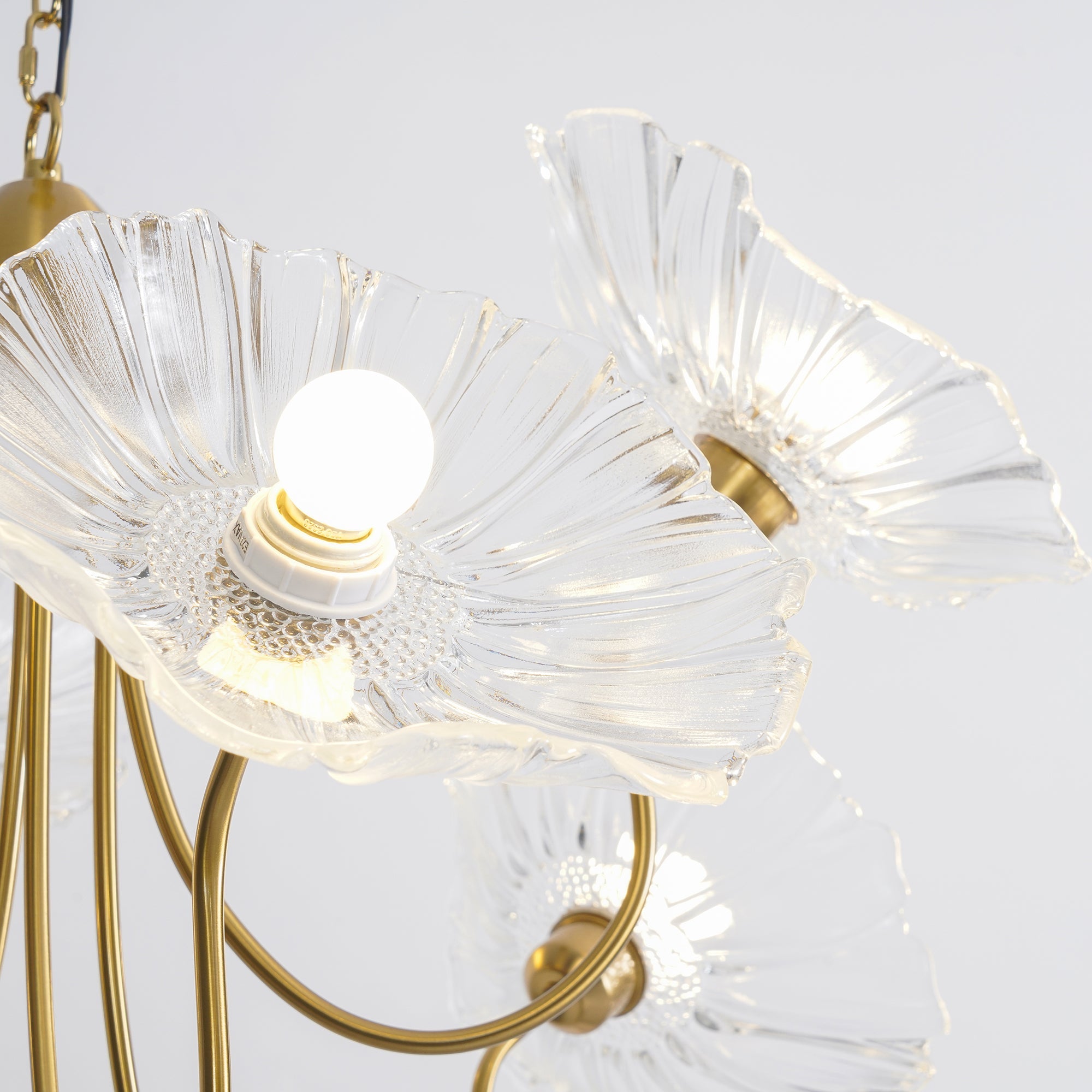 Chandelier Light | Ceiling Lamp with Lutos Flower Design