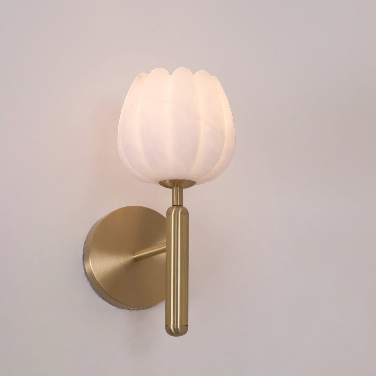 Wall Light Decorative | Brass and Alabaster Fixture