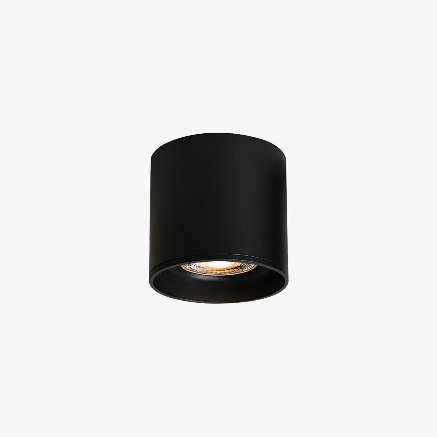 Ceiling Light | Cylinder Surface Fixture