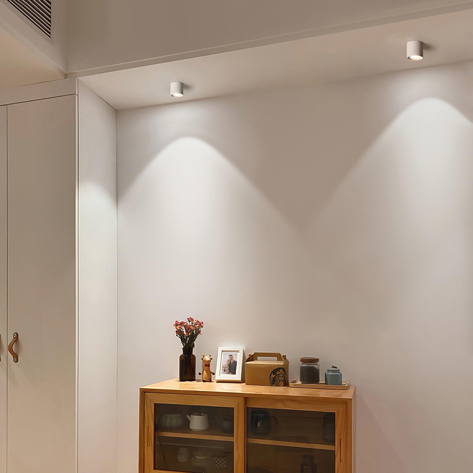Ceiling Light | Cylinder Surface Fixture
