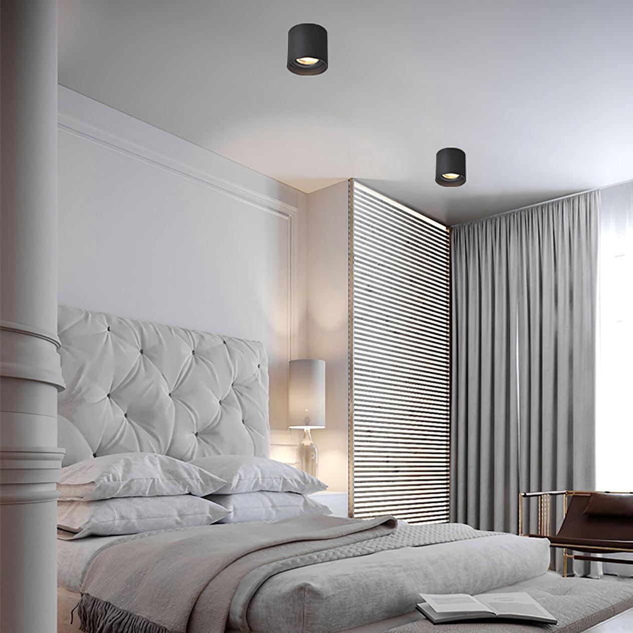 Ceiling Light | Cylinder Surface Fixture